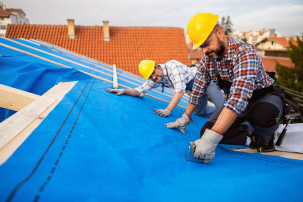 Best Storm Damage Roof Repair  in Dalzell, SC