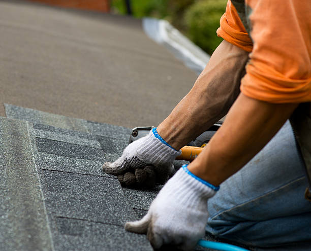 Best Local Roofing Companies  in Dalzell, SC