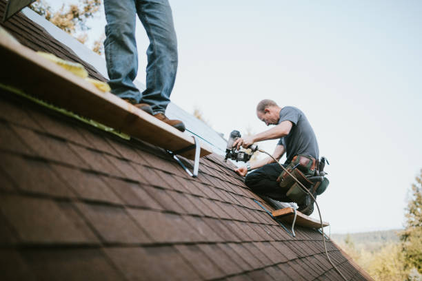 Quick and Trustworthy Emergency Roof Repair Services in Dalzell, SC